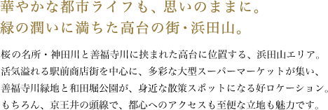 華やかな都市ライフも、思いのままに。緑の潤いに満ちた高台の街・浜田山。