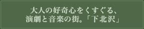 大人の好奇心をくすぐる、演劇と音楽の街。「下北沢」