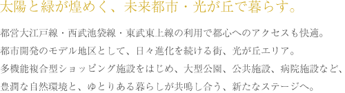 zƗ΂߂AssEuŕ炷B