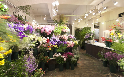 Florist¡¡AOKI¡¡¥µ¥Ö²èÁü1