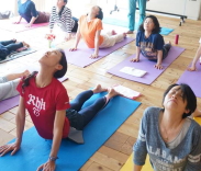 Yoga School KAILAS ë
