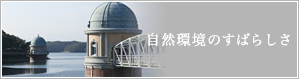 R̂΂炵