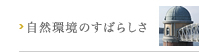 R̂΂炵