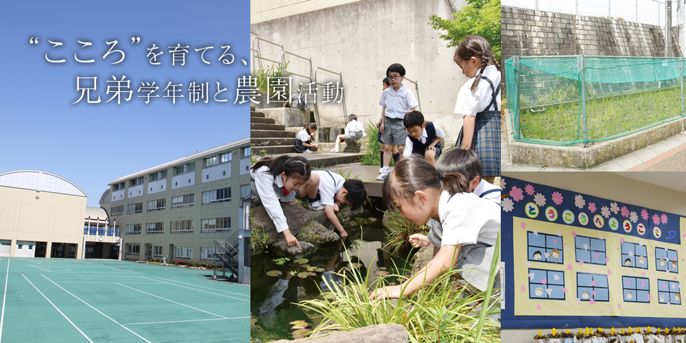 “こころ”を育てる、兄弟学年制と農園活動