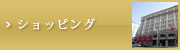 VbsO