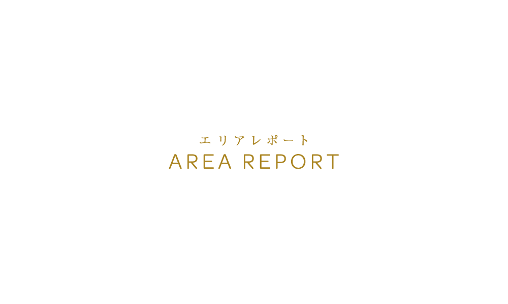 エリアレポートAREA REPORT