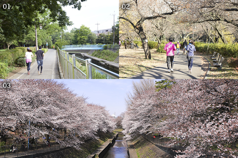 高井戸から吉祥寺へ、贅沢な大人の週末イメージ